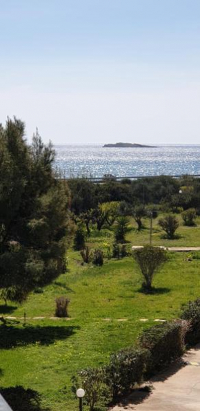 Beachfront/lagonisi/Sounio